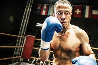 吃瓜娱乐拳击视频大全